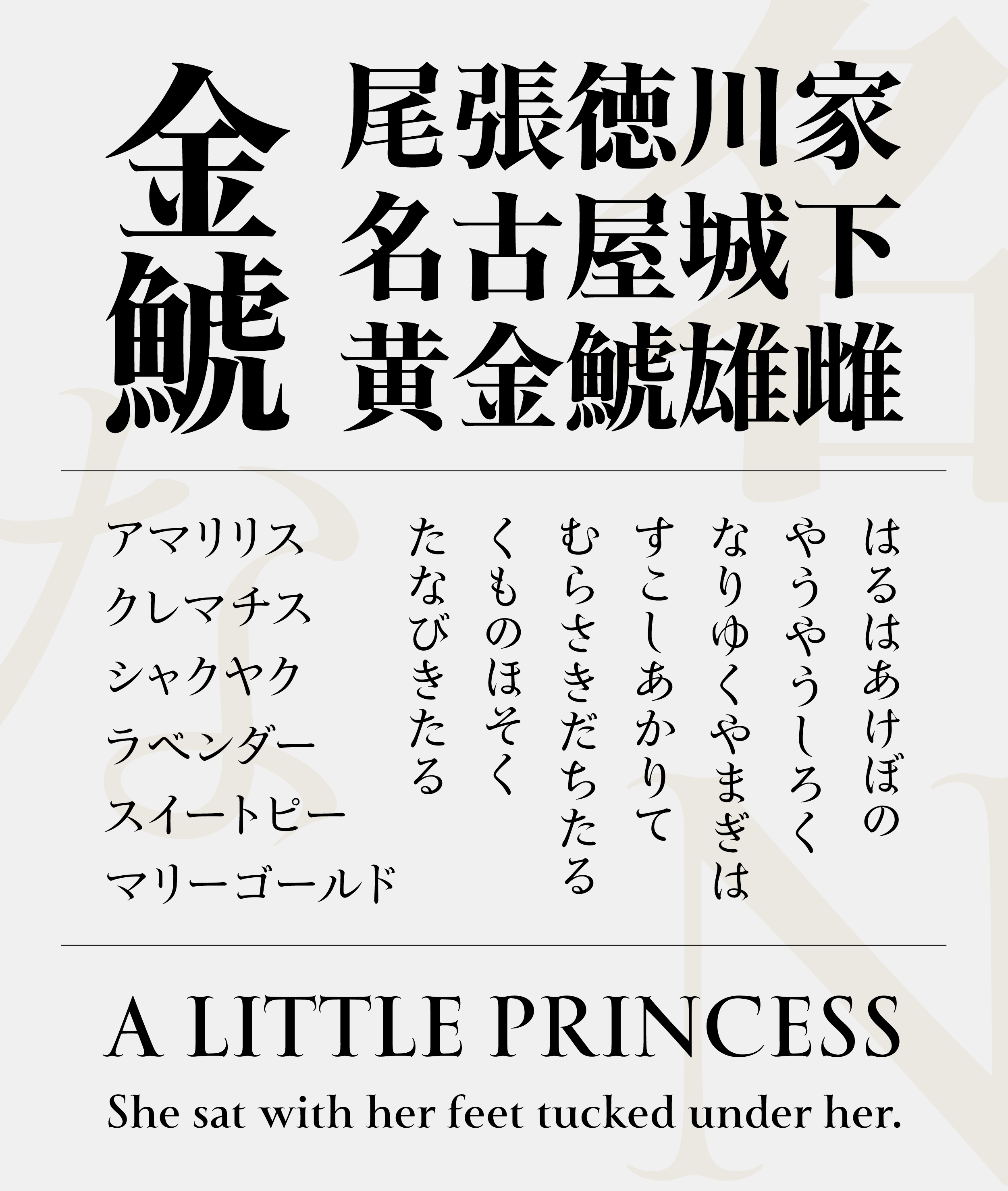 Kinshachi Font Type Project タイププロジェクト